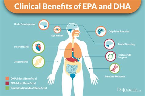 EPA的神奇功效與好處：你不可忽視的健康夥伴